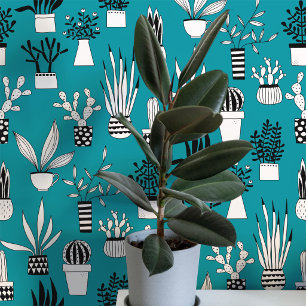 Cactus Succulent House Pflanze Aquamarine Grüne Ku Tapete