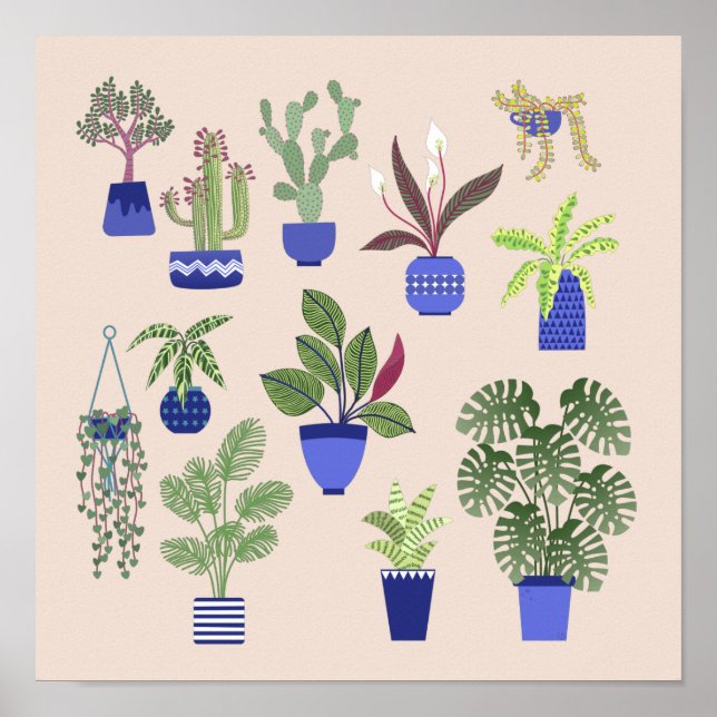 Cactus succulent Houseplant Pink Poster (Vorne)