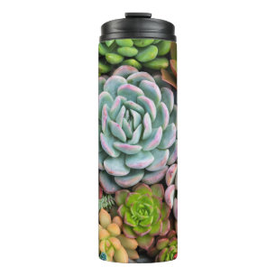 Cactus succulents tumbler thermosbecher