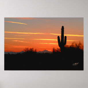 Cactus Sunset Print Poster