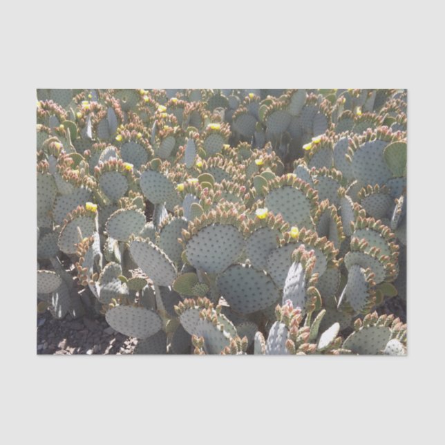 Cactus Tissue Paper Seidenpapier (Vorderseite)