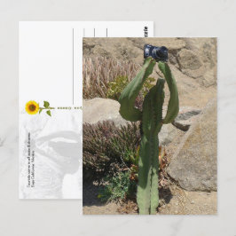 Cactus Tourist - carte postale