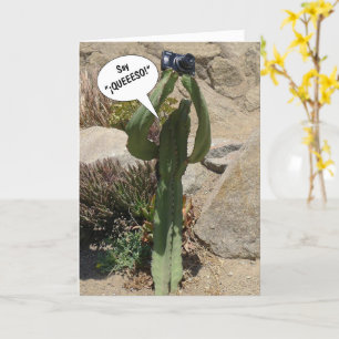 Cactus Tourist, sagen Sie QUEEESO - Karte