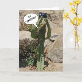 Cactus Tourist, Say QUEEESO - carte