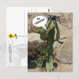 Cactus Tourist, Say QUEEESO - carte postale