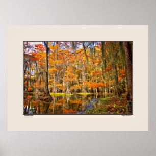 Caddo Lake - Herbst - Texas Poster