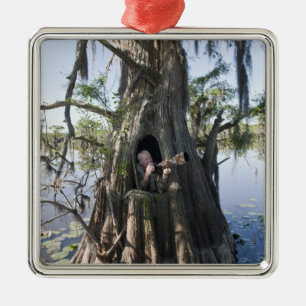 Caddo Lake, Jagdkanzel Ornament Aus Metall