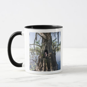Caddo Lake, Jagdkanzel Tasse