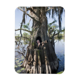 Caddo Lake, Jagdversteck Magnet