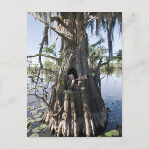 Caddo-See, Jagd blind Postkarte