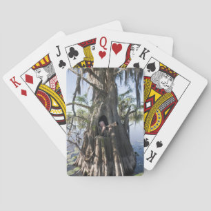 Caddo-See, Jagd blind Spielkarten