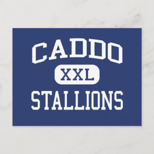 Caddo Stallions Middle Shendeport Louisiana Postkarte