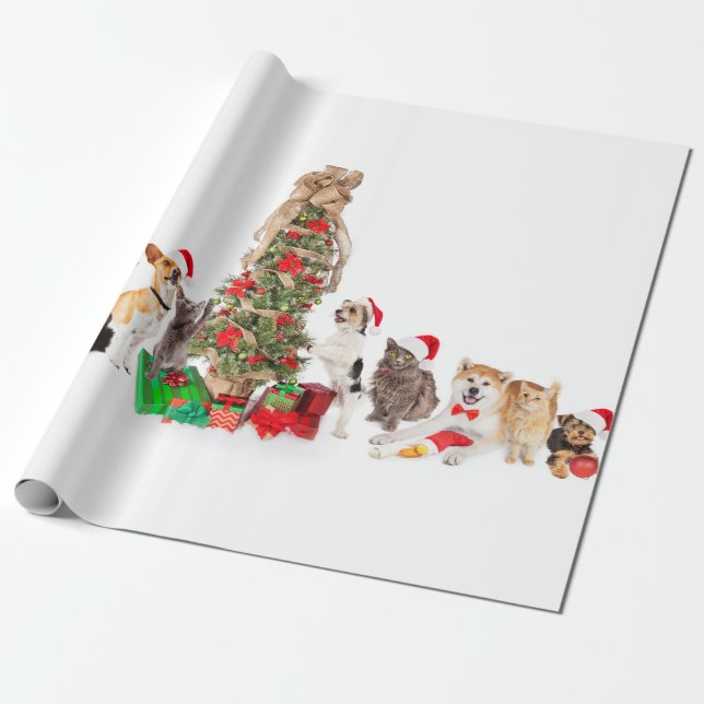 Cadeau Animaux de compagnie autour du papier d'enveloppem (Déroulé)