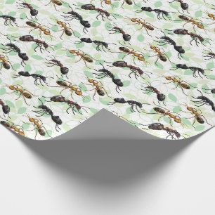 Cadeau Ants Insectes Bugs Enveloppement Papier