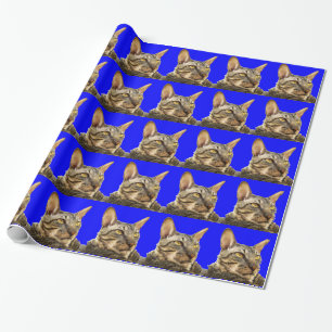 Cadeau Bleu de chat de tigre du papier d'emballage