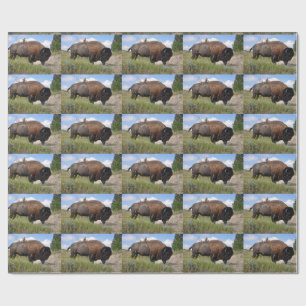 Cadeau Buffalo sur le papier d'emballage de jour