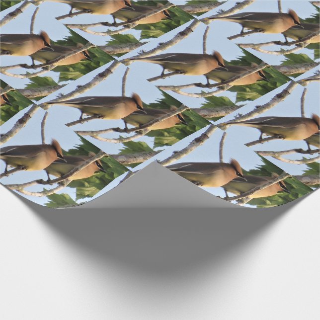 Cadeau Cedar Waxing - Jardin Bird - Papier à envelopper (Coin)