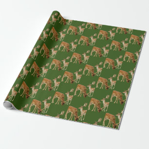 Cadeau Chasse au cerf Papier vert et papier d'enveloppeme