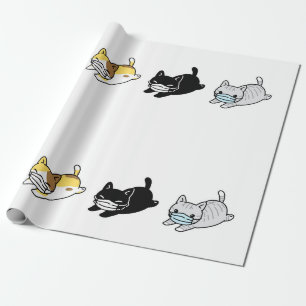 Cadeau CHAT AVEC papier enveloppant MASQUE