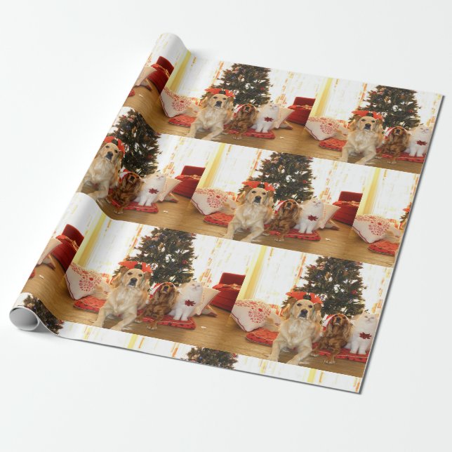 Cadeau Chiens De Noël Et Papier D'Enveloppement De Chats (Déroulé)