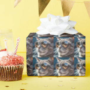CADEAU COOL CHAT LUNETTES DE SOLEIL PAPIER D'ANNIVERSAIRE