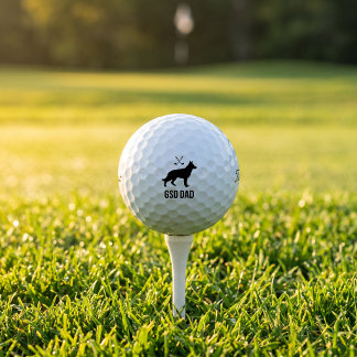 Cadeau de balle de golf Titleist Pro V1 pour papa