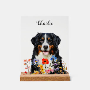 Cadeau de sympathie mémoriel de deuil pour chien