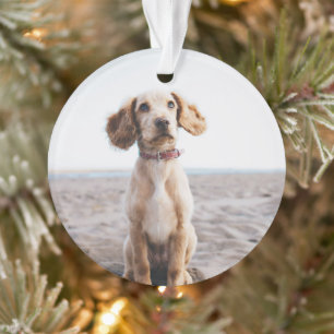 Cadeau d'ornement photo de chien pour arbre de Noë