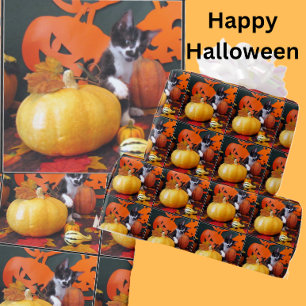 Cadeau Halloween de Cowboy - Chat / Kitten Papier à envel
