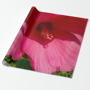 Cadeau Hibiscus rose Photo Papier d'enveloppement de lin