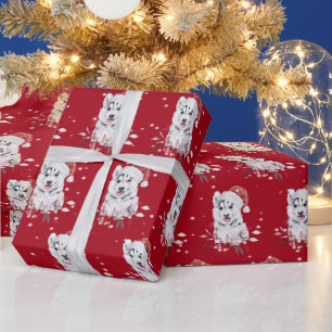 Cadeau Husky de Noël avec papier d'enveloppement de chape