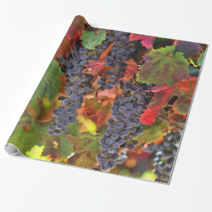 Cadeau Joli Vigne Vigne Vignoble Papier d'enveloppement