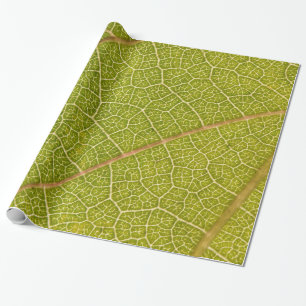 Cadeau Macro papier d'emballage de feuille
