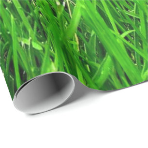 Cadeau motif d'herbe, PAPIER d'ENVELOPPE,