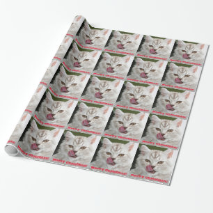 Cadeau Noël de Meowy mignon, papier d'emballage de chato