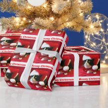 Noël pêche le papier d'enveloppement de chats Tuxe