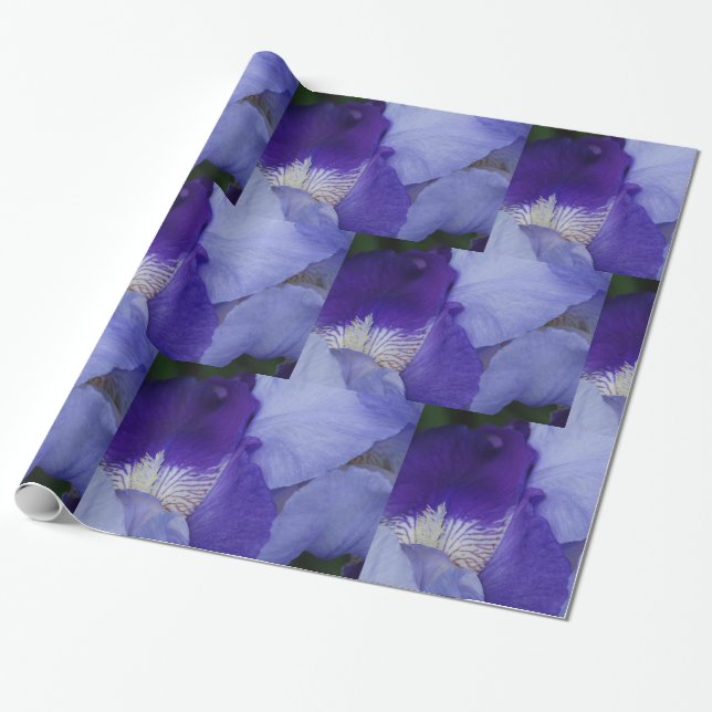 Cadeau Papier à enveloppement brillant Iris Fleur violet (Déroulé)
