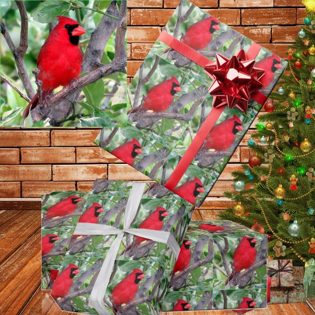 Cadeau Papier à enveloppement cardinal (Créateur téléchargé)