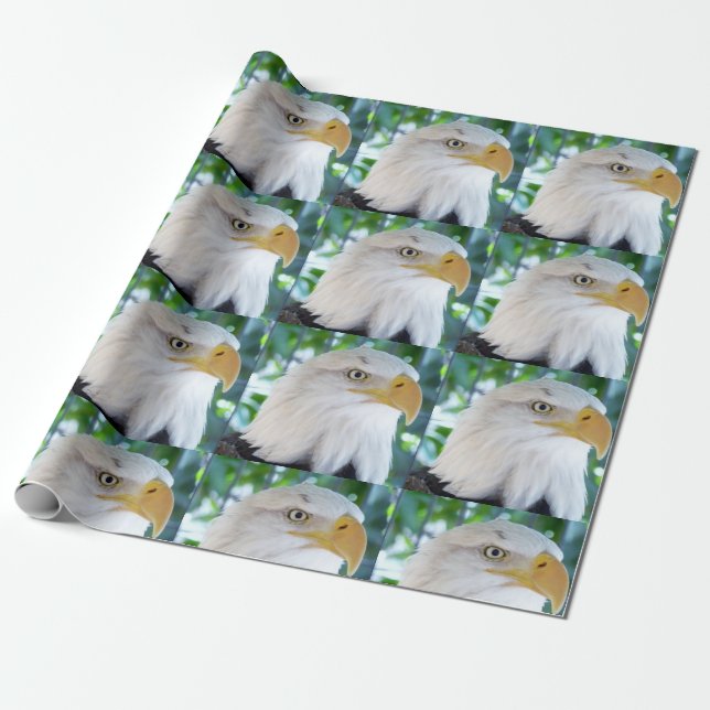 Cadeau Papier à enveloppement d'aigle (Déroulé)