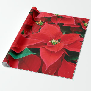 Cadeau Papier à enveloppement de pousses de Noël