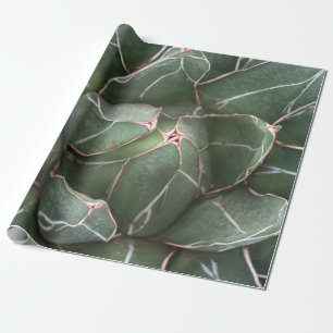 Cadeau Papier à enveloppement Plante à succulents vert