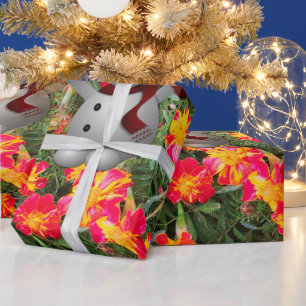 Cadeau Papier à envelopper - Noël 