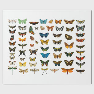 CADEAU PAPIER À REPASSER : GRAPHIQUE VINTAGE À BOUTEILLE