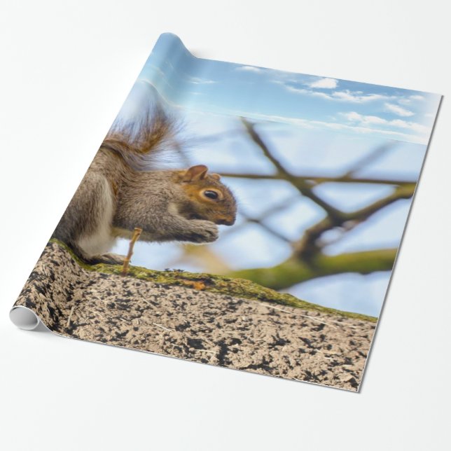 Cadeau Papier d'écureuil (Déroulé)