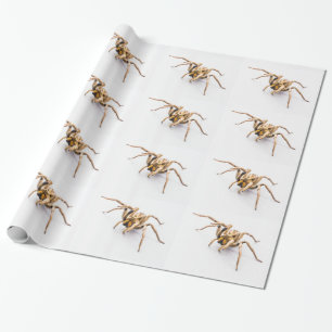 CADEAU PAPIER D'EMBALLAGE BLANC AVEC DES RANGÉES D'ARAGNÉ