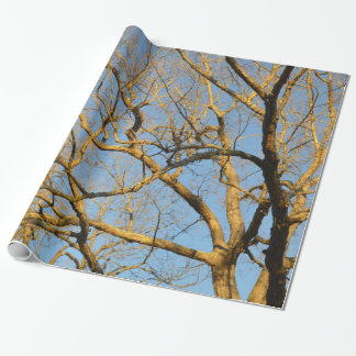 Cadeau Papier d'emballage d'arbres de coucher du soleil