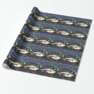 Cadeau Papier d'emballage de canard masculin de Mallard