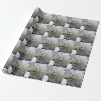 Cadeau papier d'emballage de chat angora turc blanc