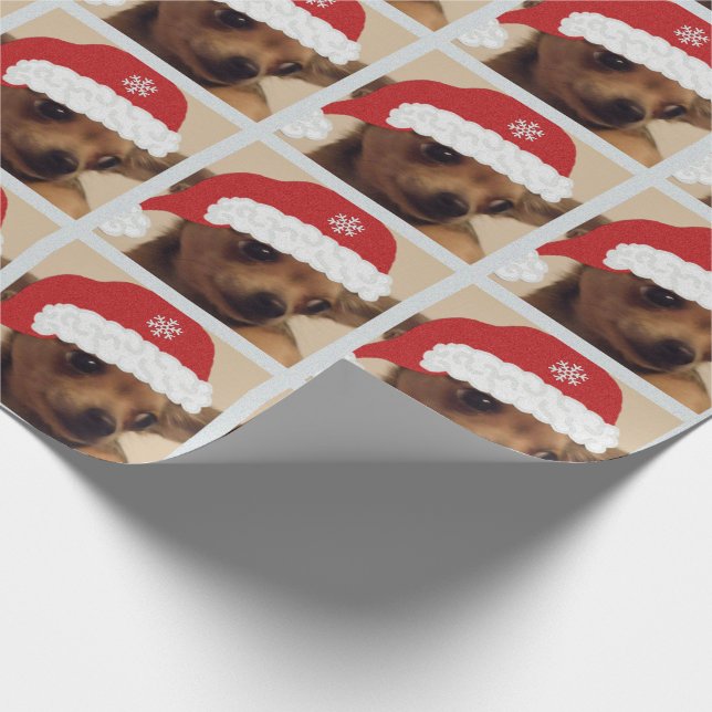 Cadeau Papier d'emballage de chiwawa de Noël (Coin)