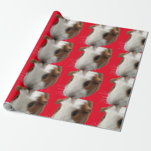 Cadeau papier d'emballage de cobaye rouge